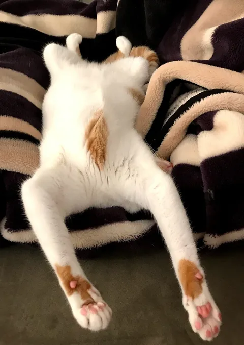 Ever slept on your own head?