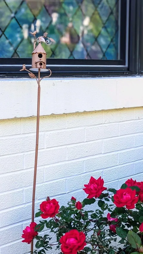 The cozy home that houses my three year old and me.