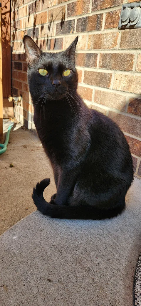 This is probably the best picture I will ever take of her.