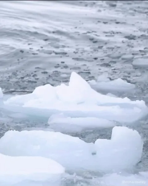 Eye to eye with an Orca in the Antarctic