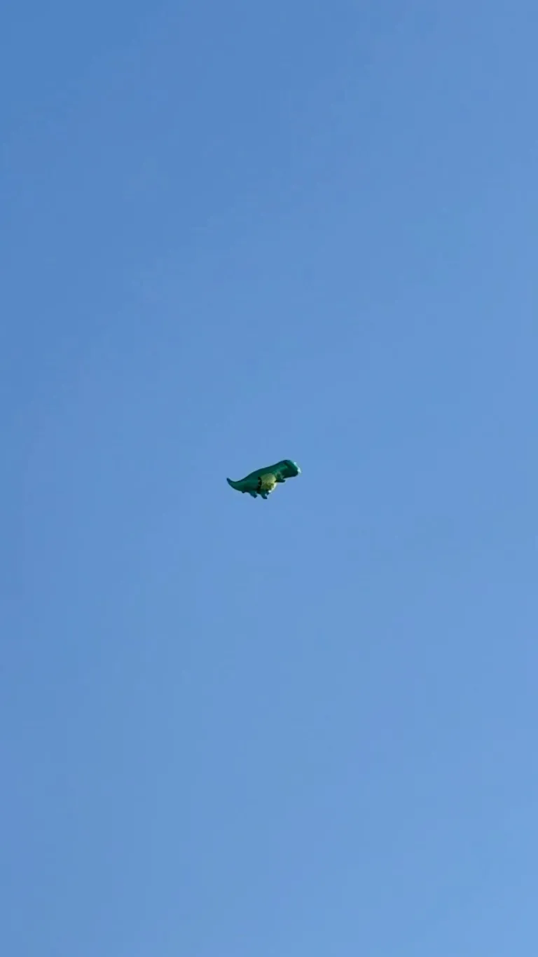 Waited a week for this $15 balloon to come in the mail, spent an hour and a half and another $14 dollars to fill it.