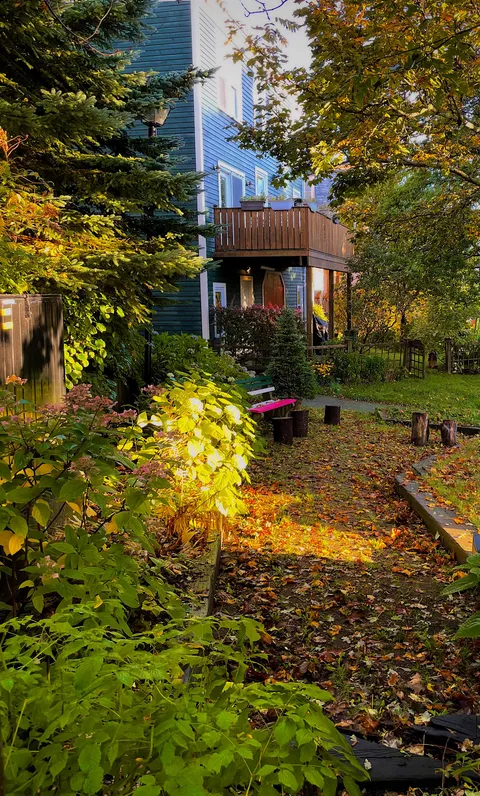 Cozy little green space and sitting area tucked away in a back alley