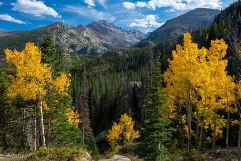 Aspens on Bear Lake Trail, RMNP, CO [5167x3445] [OC]