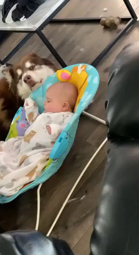 Shhhh I’m putting the baby to sleep