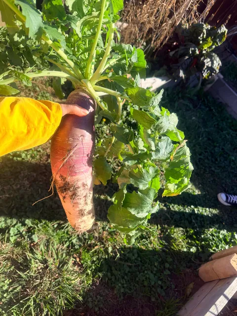 So I kinda forgot about this guy