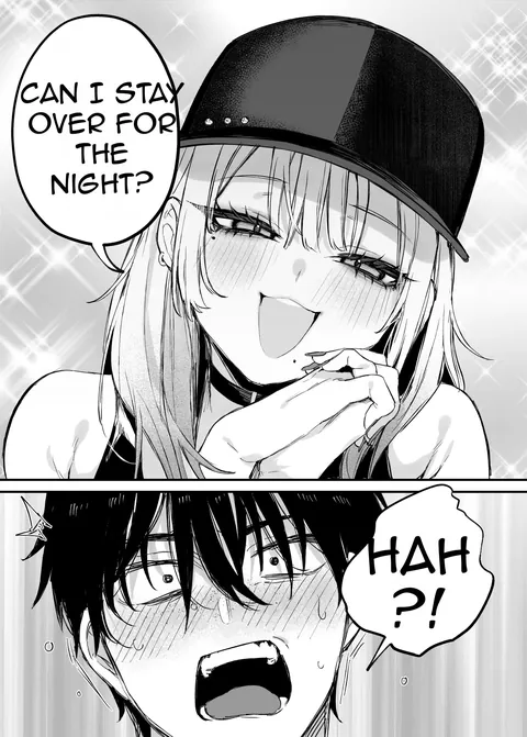 Let me Stay for a Night , Otaku !!!