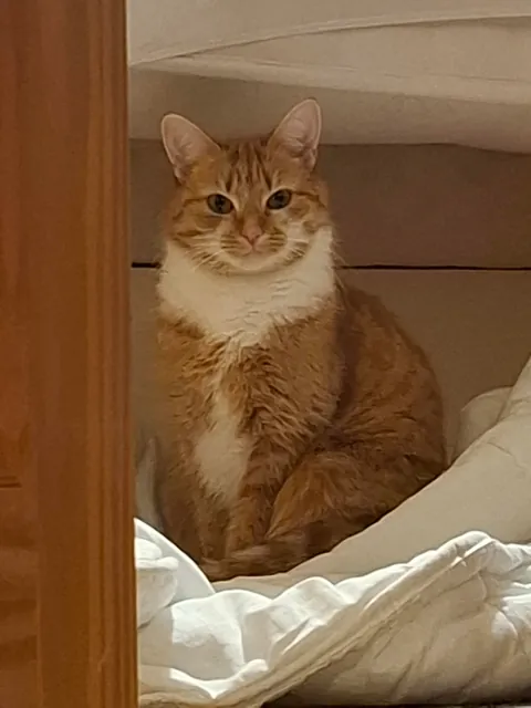 No brain in her head, just :3