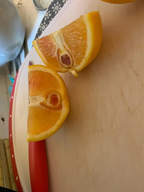 Orange has red in it