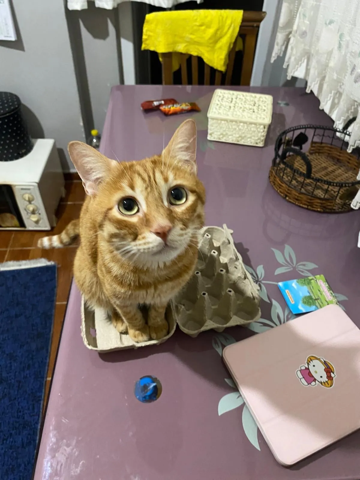 This Is My Most Meaningful Tattoo After My Baby Died, Istanbul/Turkey