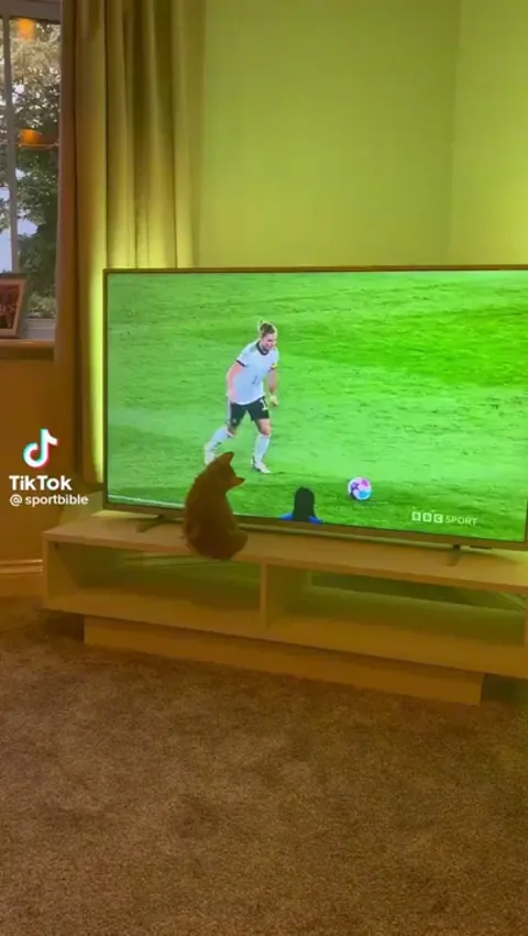 GoalKeeper Shuts Em Down