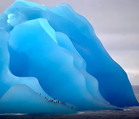 🔥 Reasons Antarctica Should Be On Your Bucket List