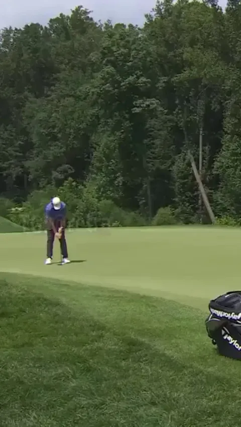 A golfer won more than $2 million thanks to a fly