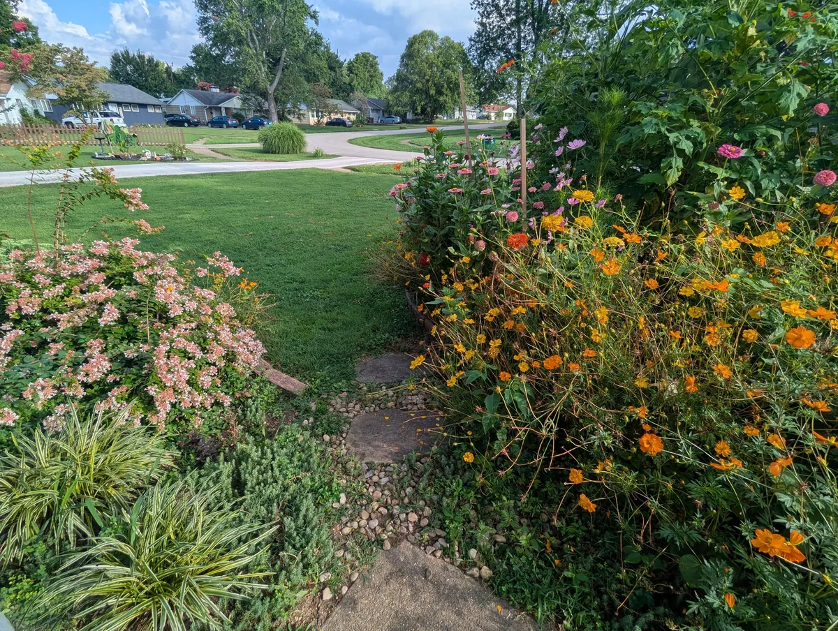 Just wanted to share some pics