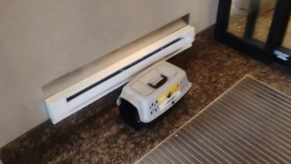 UPDATE: ABADONED cat in hotel lobby (Maryland).