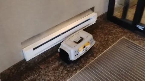 UPDATE: ABADONED cat in hotel lobby (Maryland).