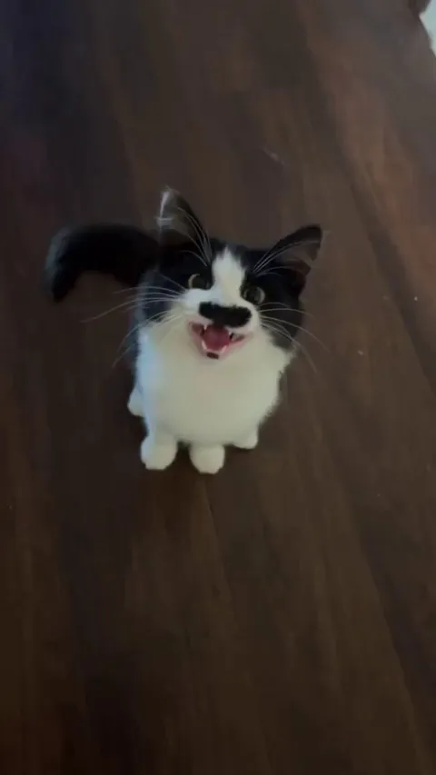 My roommate who doesn’t pay rent, do dishes, and sleeps all day just started yelling at me…