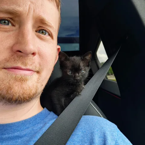 The cat distribution system caught up with me. I work at a haunted house and this kitten was left by mom at 2 days old because she was caught in some string inside the haunt. She's now 8 weeks and doing great! Her name is Malice, because... it's a black cat from a haunted house.