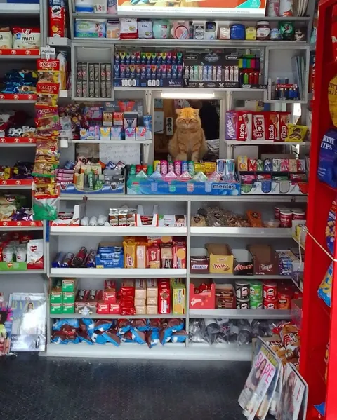Greece: Convenience store owners
