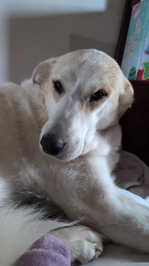 My sweet baby girl 💕