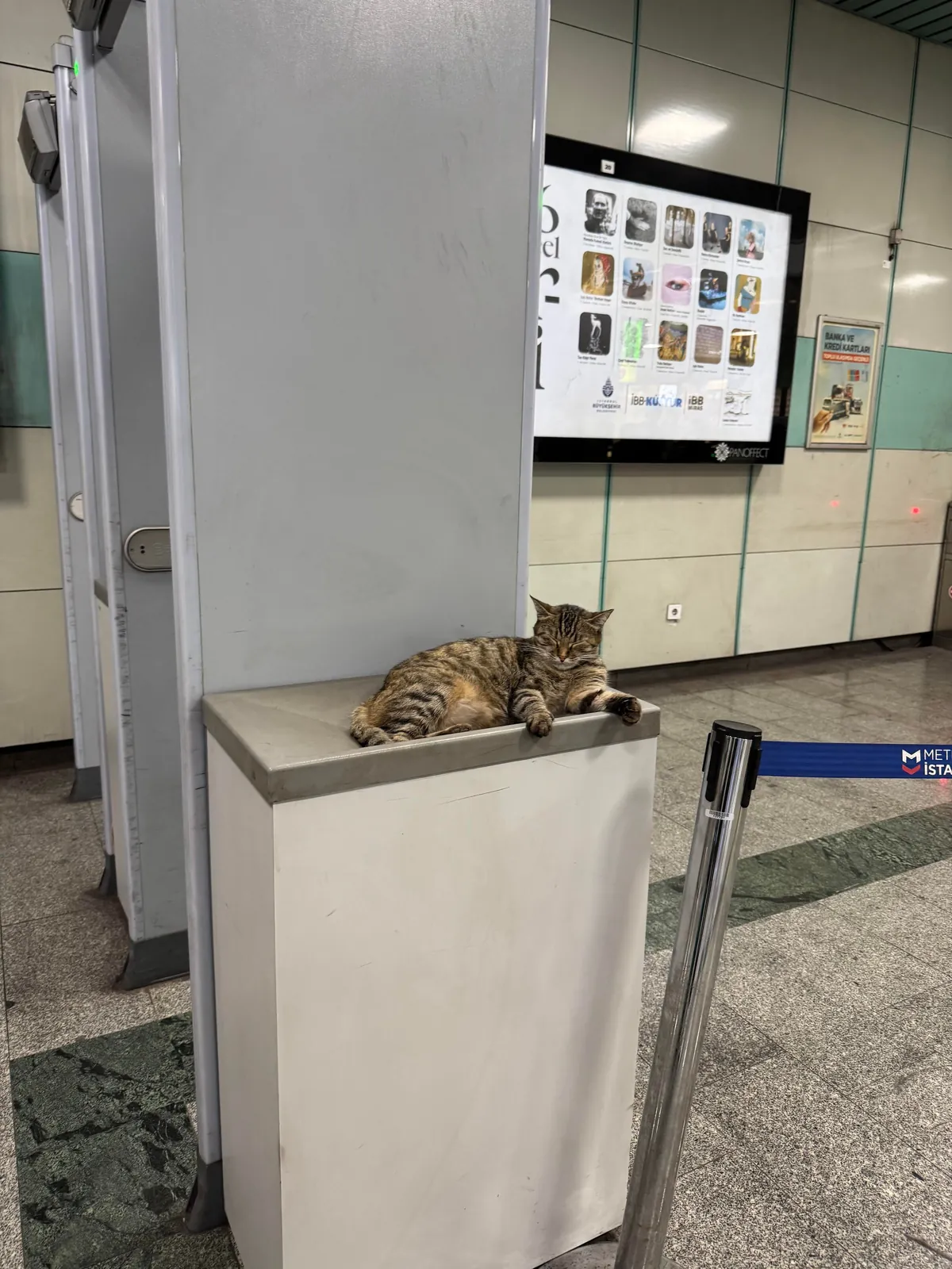 Turkey (Istanbul) is a stunning destination ! My 2 liras