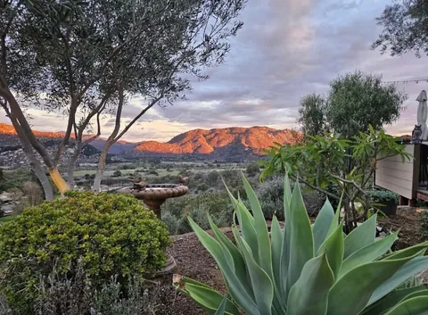 Snowman in the Mountain Garden