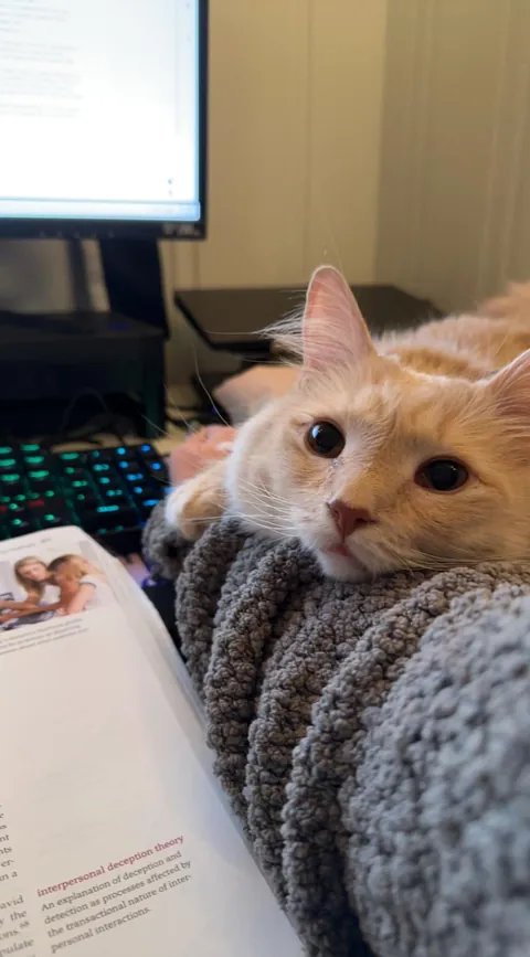 Gahwd I love him 💕