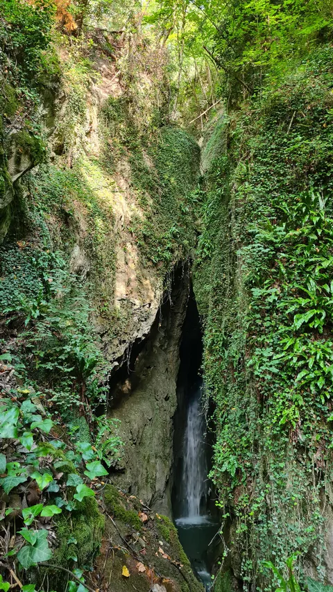Hidden waterfall, Switzerland, [2268x4032], [OC]