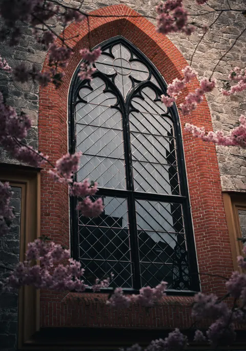 ITAP of a gothic window behind flowers