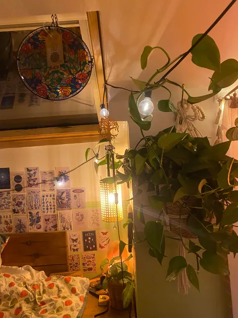 Someone asked for what it looks like on a night