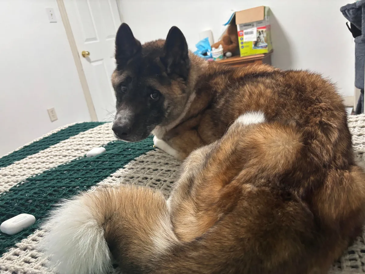 Update on my Survivor