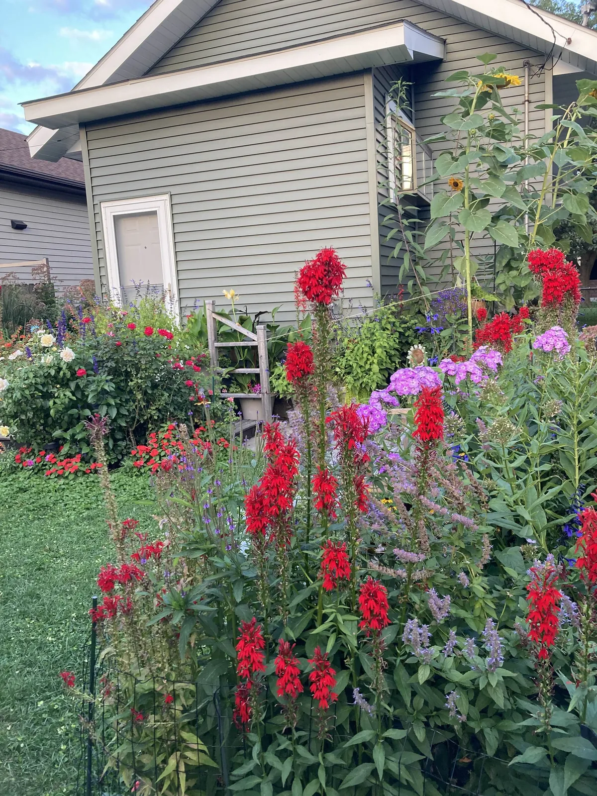 Flowers put on a final show in these last weeks of summer that already feel like fall.
