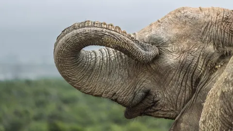 🔥🔥the Best funny nature pics