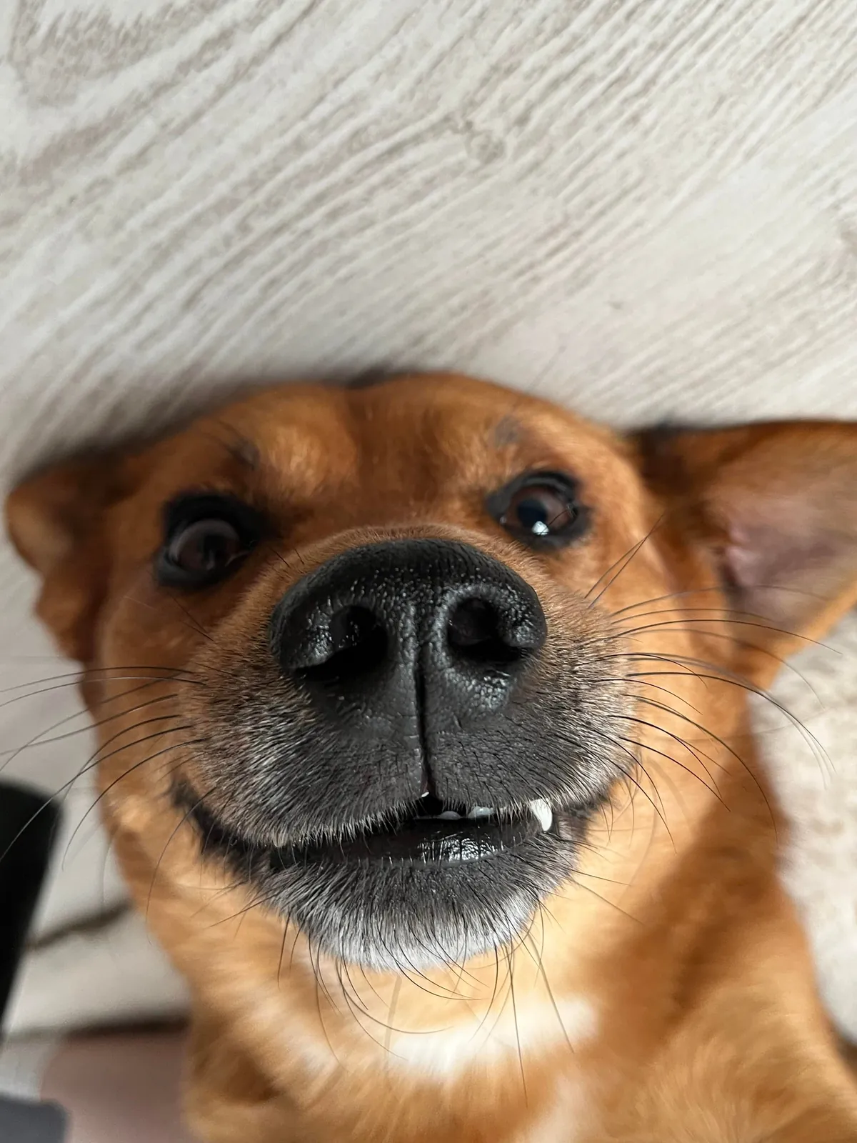 The first thing you ate today will be his name