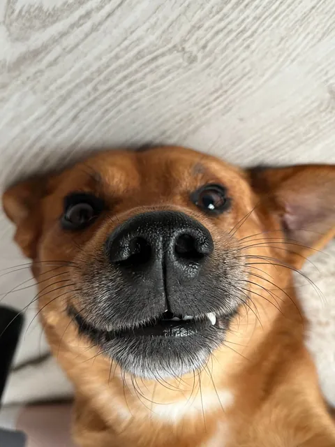 The first thing you ate today will be his name