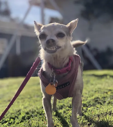 She’s friendly, just …awkward