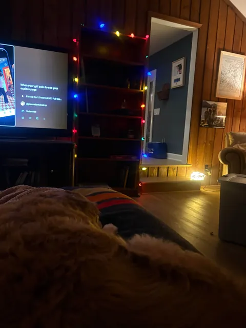 Our home ❤️ where cozy is the motto. 80% thrifted