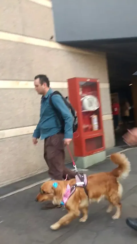 the way it also leaned against the wall lol