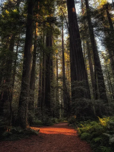 Crescent City, California [OC, 4284x5712]