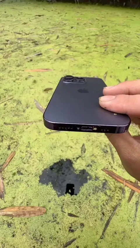 Waterproof (hopefully) Phone takes a dive to show us a glimpse of the submerged world.