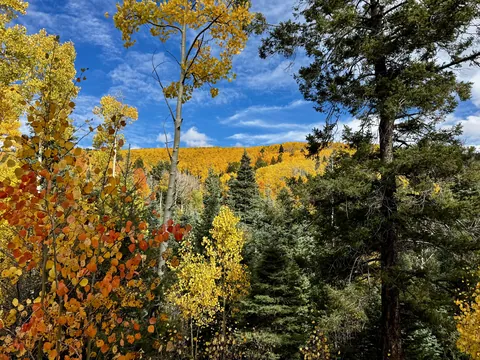 Autumn in the Sangre de Cristo mountains of New Mexico [5140x3855] [OC]
