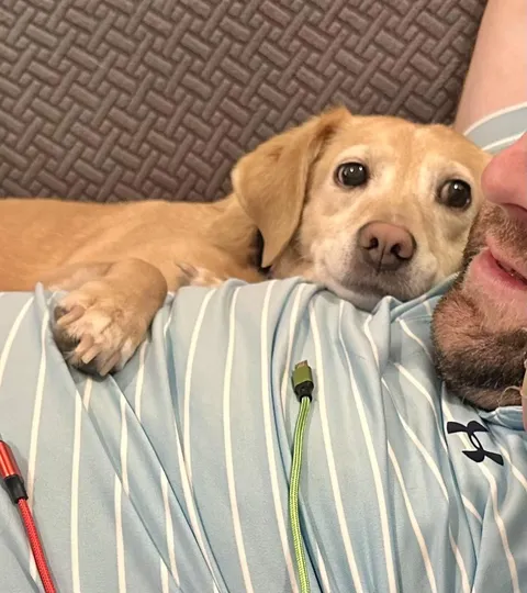 My girl Bella totally in love with my boyfriend of two years 