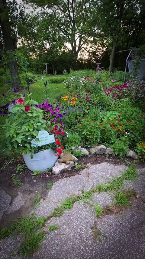 Due to health issues i wanted my garden to look perfect this year. Just wanted to give you a walk through
