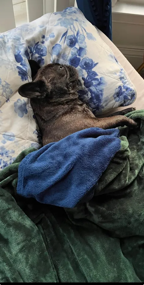 Im Glad She Lets Us Sleep On Her Bed😂