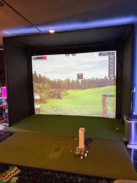 Basic two-car garage to a financial mistake I can hit golf balls and race in