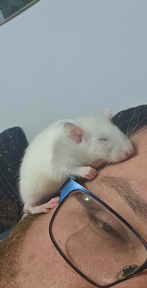 Got this little guy only yesterday and he's doing this..guess he likes me