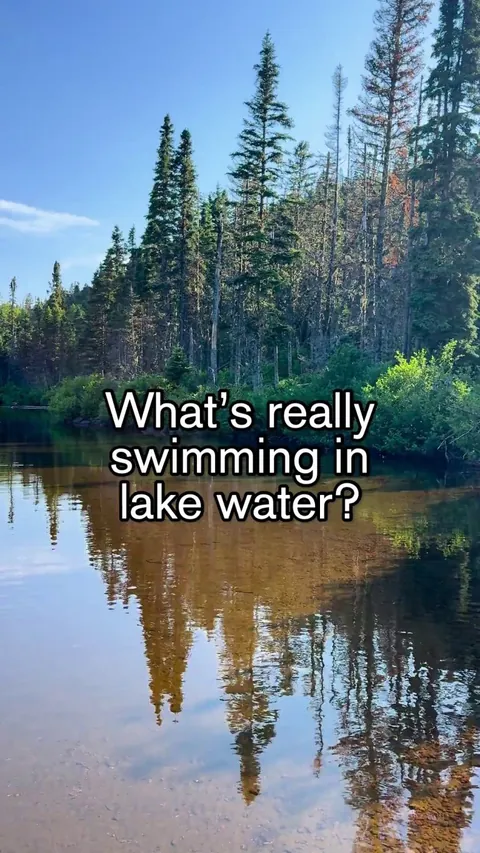 Microscopic Look at Lake Water