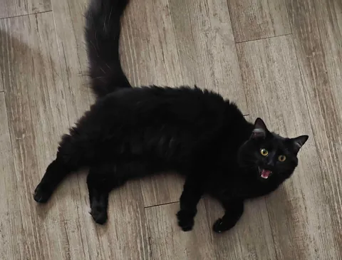 She just entered my life 🖤