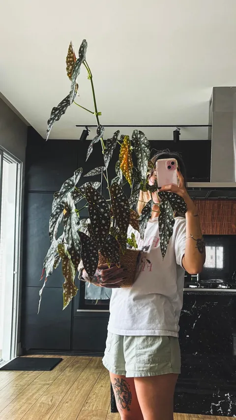 If you had to guess my personality from the things I’m doing in these pics, what would you say?