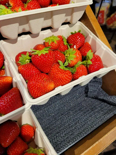 Maybe the most perfect looking strawberry I've ever seen, almost looks fake