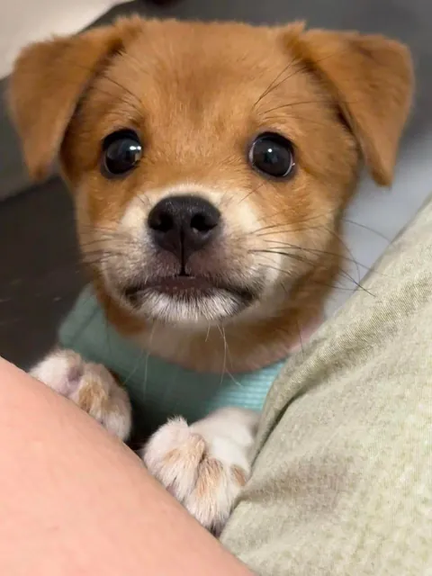 Just wanted to say hello with these eyes